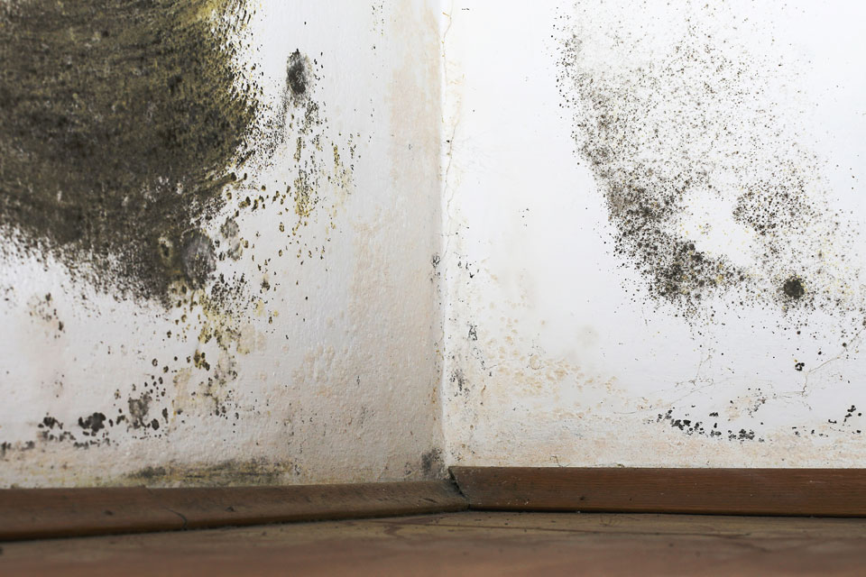 RID Damp Proofing Condensation and black mould